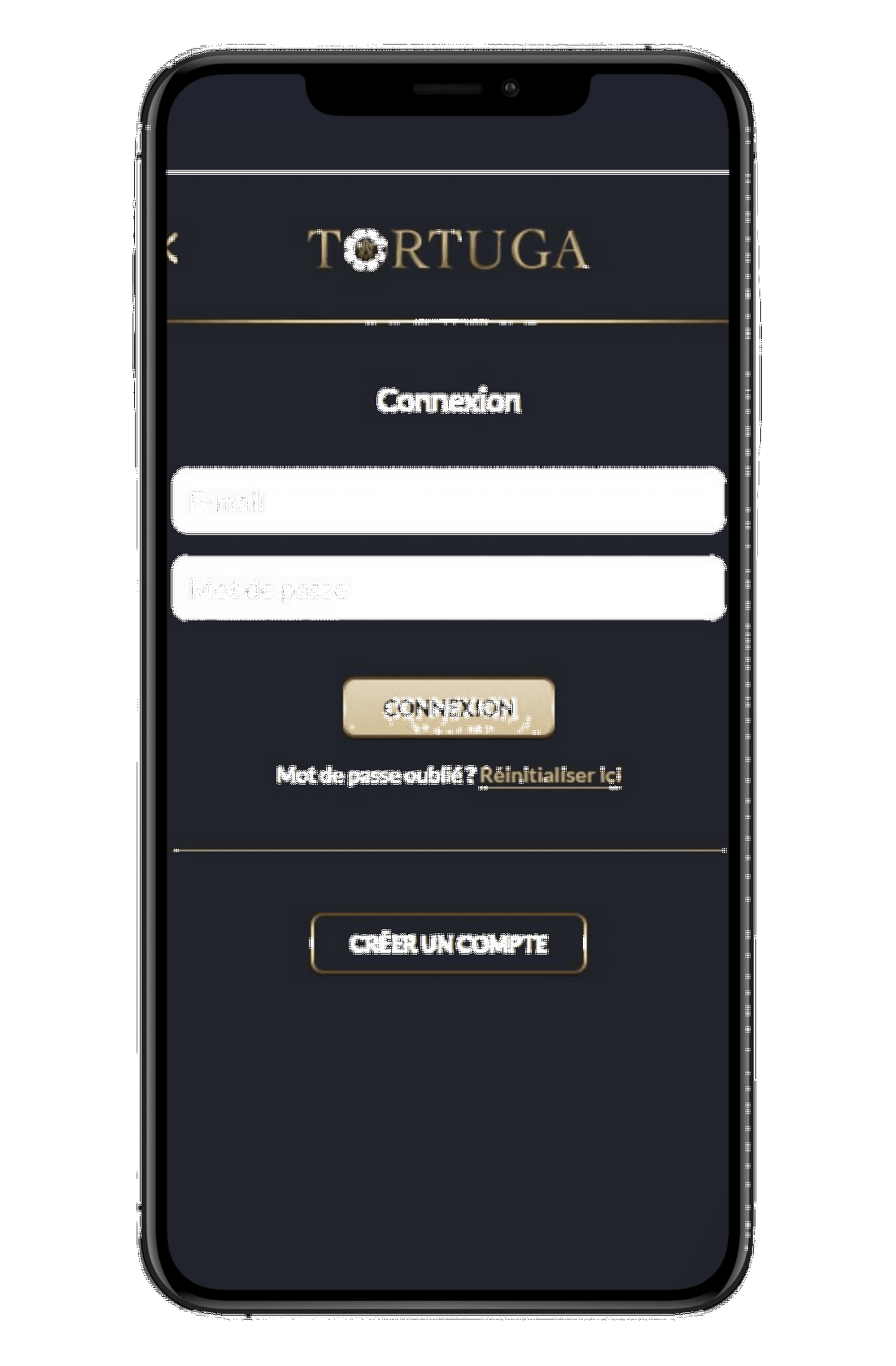 Test de Tortuga Gambling Enterprise 2025 : Un aperçu complet pour les nouveaux joueurs